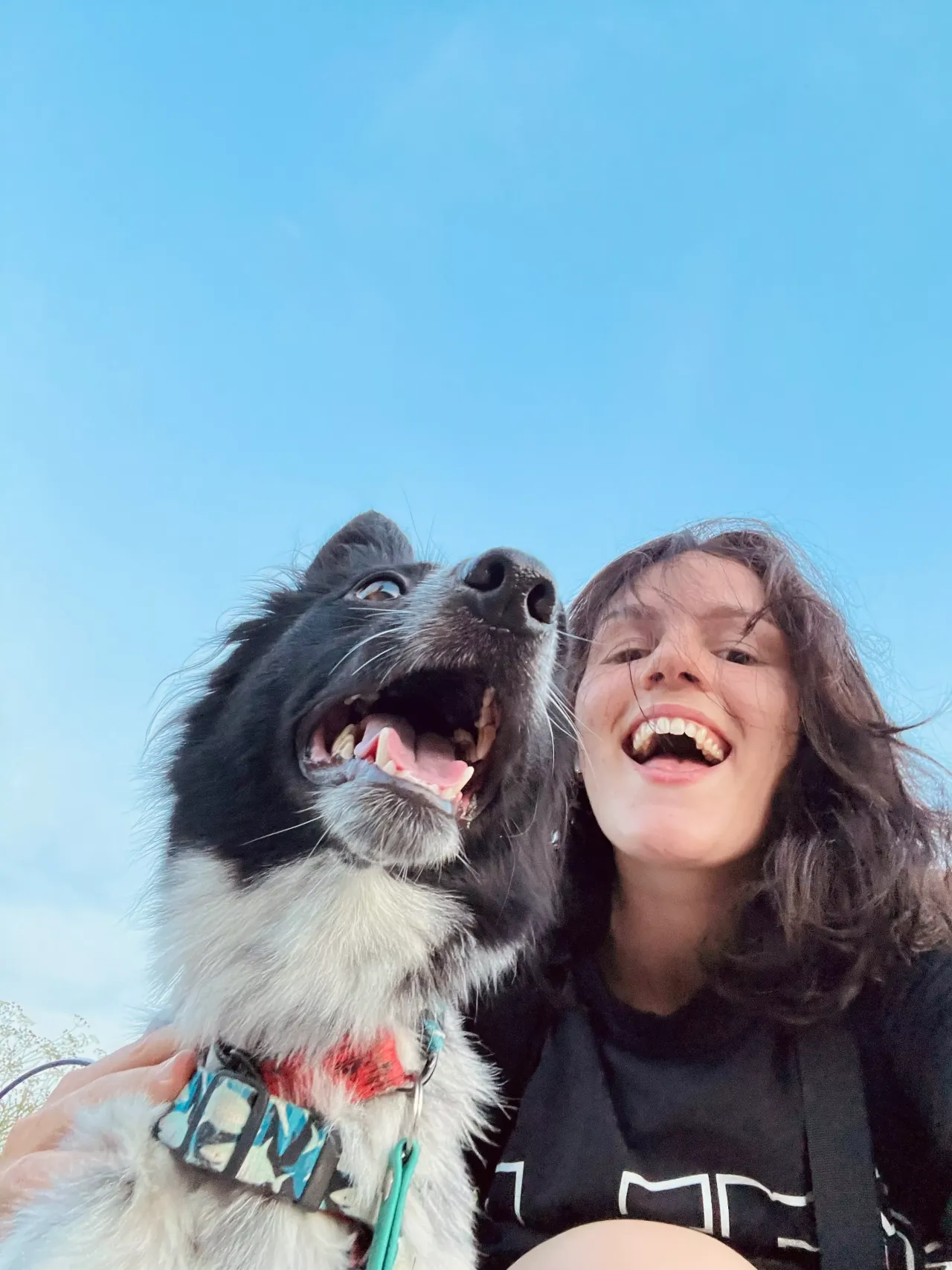 Szczęśliwy pies z opiekunem